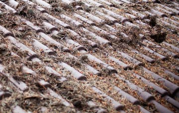 Tur Langton roof cleaning companies